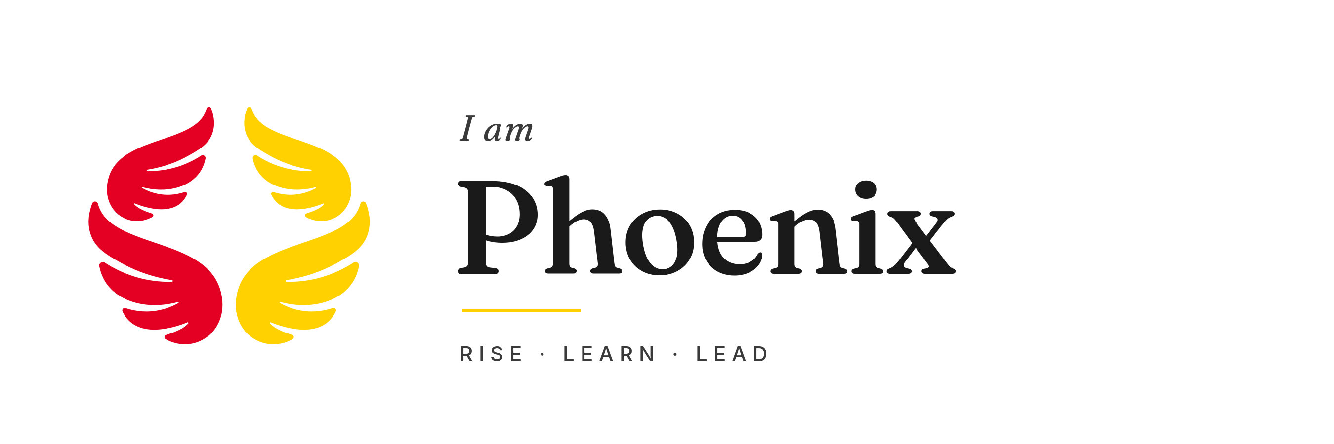 I am Phoenix - Sacha Dekker